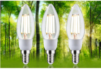 Paulmann 29133 LED EEK A (E14 2.5W Warmweiß (Ø x H) 35mm x 113mm 3St. – Effizienz und Nachhaltigkeit in einem Produkt
