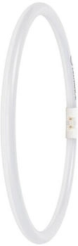 LEDVANCE LED-Ringtube T5FC, 2GX13 LEDT5FC4055E.21.5830