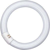 Leuchtstoffr&ouml;hre Lumilux C - T9, 840 Neutralwei&szlig; - 40w - Osram