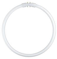 Osram Leuchtstofflampe FC 22W/830, Energieeffizienzklasse: G