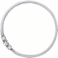 Osram O0528465, Osram Leuchtstoff Ringlampe T5 FC22W 840 2GX13 Circular,