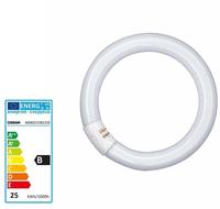 OSRAM LUMILUX T9 C 22 W/865 G10Q