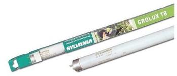 Sylvania F38W/GRO Retail