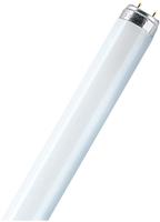 Osram Lumilux-Lampe L 58/830