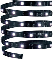 Paulmann 70252 YourLED ECO Stripe 3 m RGB Schwarz