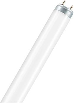 Osram L 18W/965
