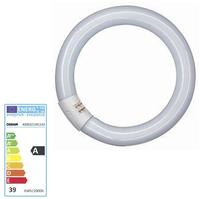 Osram Rinr&ouml;hre L 32W/840 C G10Q FLH1, Energieeffizienzklasse: G (A-G)