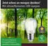 Paulmann Eco-Line Filament Tropfen E27 525lm 3000K 3er-Set (29215)