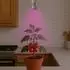 Venso Grow Light Cultura E27 7W 30° (Cultura)