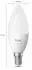 Philips Hue White and Color Ambiance 500 LED-Bulb E14 3.7W