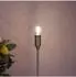 Näve Daffy LED-Leuchtmittel E14, warmweiß 2700K, dimmbar, 6er-Set (4139206)