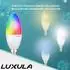 Luxula LED-Lampe Kerzenform SMART E14 RGBTW 5W 464lm (LX100330)