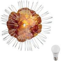 Eglo 7 Watt SMD LED Beleuchtung floral Wand Lampe Kabel Schalter Leuchte Kalk Muschel