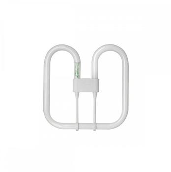 General Electric Company 2D-16W 2PIN TAGESLICHT 41749