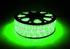 McShine LED Ropelight 44m grün