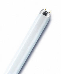 Osram L 36W/62
