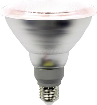 LightMe LED Pflanzenlampe PAR38 12W-E27/spezial