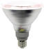 LightMe LED Pflanzenlampe PAR38 12W-E27/spezial