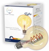 Tint Led-lampe E27, 5,5 W, 380 Lm, Eek G, G95, Rgb
