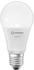 LEDVANCE Smart+ Wifi Classic E27 9W Tunabel White (AC33909)