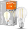 LEDVANCE LED Lampe SMART+ Filament dimmbar 60 5,5W E27 Appsteuerung
