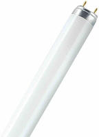Osram Lumilux-Lampe L 36/840-1