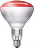 Hartglas Infrarotlampe PHILIPS - 250 W / rot