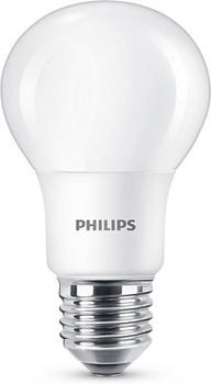 Philips Frosted Edison 8W(60W) E27