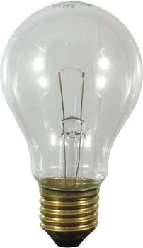 Scharnberger + Hasenbein Backofenlampe AGL B 60x105 29940