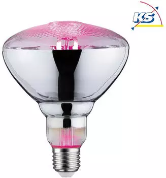 Paulmann LED Wachstumslicht-Filament / Grow Green Reflektor PAR38 E27 6.5W 1300K 200lm 115° (28737)