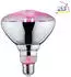 Paulmann LED Wachstumslicht-Filament / Grow Green Reflektor PAR38 E27 6.5W 1300K 200lm 115° (28737)