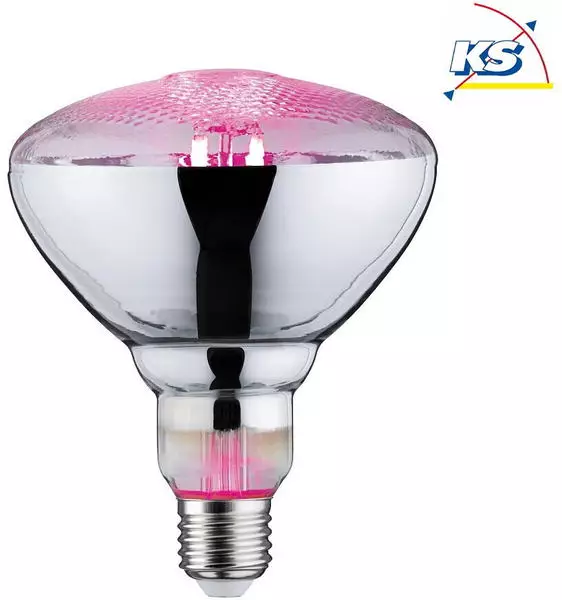 Paulmann LED Wachstumslicht-Filament / Grow Green Reflektor PAR38 E27 6.5W 1300K 200lm 115° (28737)