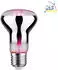 Paulmann LED Wachstumslicht-Filament / Grow Green Reflektor R63 E27 6.5W 1300K 200lm 106° (28732)