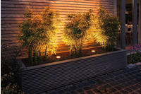 Paulmann 28972, Paulmann 28972 LED EEK F (A - G) GU10 Reflektor 4.3W = 30W Gold...