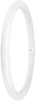LEDVANCE LED-Ring-TubeT9C f.KVG/VVG TUBET9CEMV4024W865