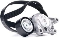 Schaeffler Ina Keilrippenriemensatz 529 0335 10
