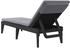 vidaXL Sonnenliege mit Auflage Anthrazit 186x60x29 cm PP (364223)
