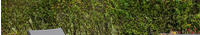 MERXX Gartenliege "San Marino" Aluminium