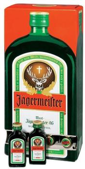 Jägermeister 60 x 0,02l 35%
