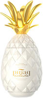 Pinaq Colada Lik&ouml;r 17% vol. 1,0l
