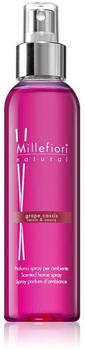 Millefiori Milano Natural Grape Cassis Lufterfrischer Raumspray 150 ml