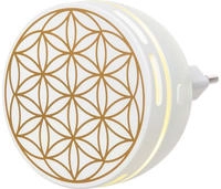 Aroma Duftstecker Easy 1 St