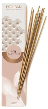 Estéban Bamboo Sticks - Iris Cachemire Raumdüfte 30 g