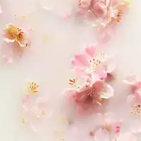 RITUALS THE RITUAL OF SAKURA Fragrance Sticks 250 ml