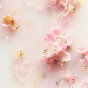 Rituals The Ritual of Sakura Fragrance Sticks Raumduft 250 ml