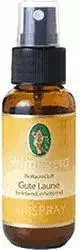 Primavera Life Airspray Gute Laune bio (30 ml)
