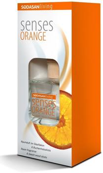 Sodasan Orange (200 ml)