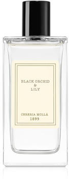 Cereria Mollá Black Orchid & Lily Lufterfrischer Raumspray 100 ml