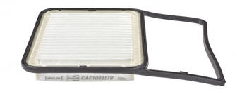 Champion CAF100917P