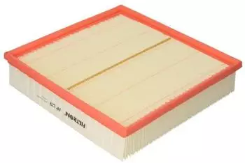 Filtron Luftfilter (AP 129)